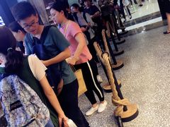 -LELECHA乐乐茶(上海五角场万达广场店)