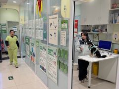 -悦宠凯宝动物医院·牙科·皮肤科(朝阳北路店)