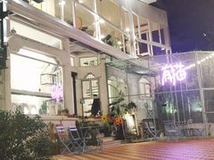-有猫主题·治愈系猫咖(曾厝垵店)