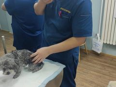 -中农大我爱我爱24h动物医院·中医针灸·猫专科·骨科医疗中心(双井店)