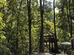 -都江堰普照寺