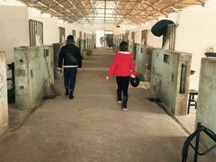 -松声马术俱乐部