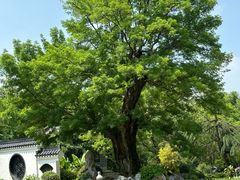 -东湖落雁景区