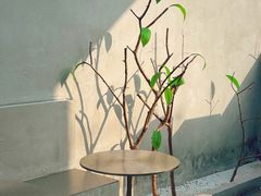 -PINTEA LAB(北京路店)