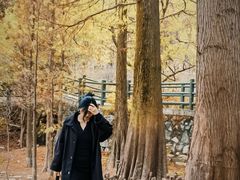 -天花井景区