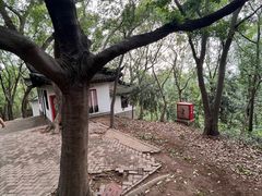 -上海佘山国家森林公园天马山园