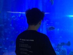 -成都浩海立方海洋公园