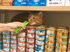 -美联众合动物医院·24h京西诊疗中心