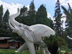 -云南民族村