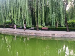 -团结湖公园