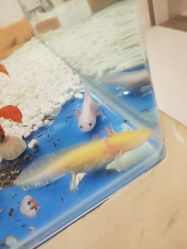 点击看大图 -Cocodemer女性健康·产后恢复(天一广场店)