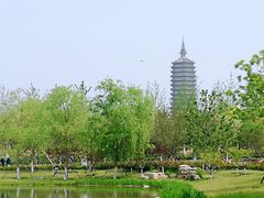 -西海子公园