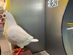 -琬苑鸽庄·川粤融合菜(解放碑总店)
