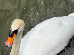 -昆明动物园