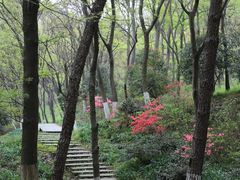 -南京老山国家森林公园
