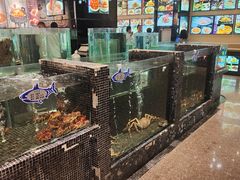 -鞍山大白鲨美食酒店