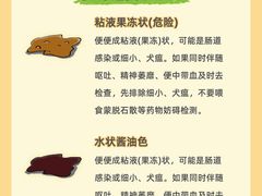 -申普宠物医院·心脏介入·心血管微创(总院)