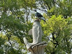 -洛阳白马寺