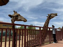 -鄂尔多斯野生动物园