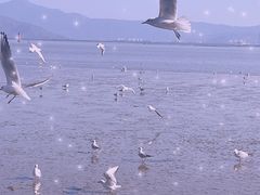 -深圳湾公园(南山区)