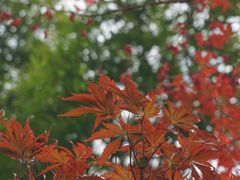 -东湖磨山景区