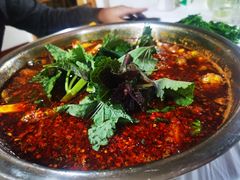 -彭大姐老店黄辣丁(新津店)