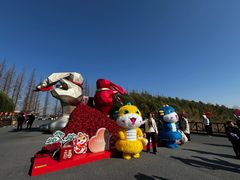 -黄海国家森林公园