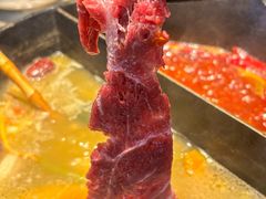 -大龙燚·旷野鲜火锅(广州首店)