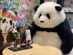-轩客会(熊猫书店)
