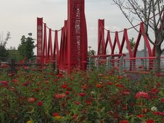 -菊园百果园