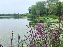 -东郊湿地公园