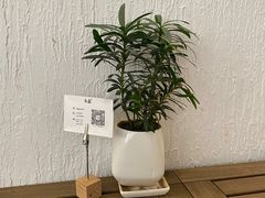 -禾康家蛋糕店