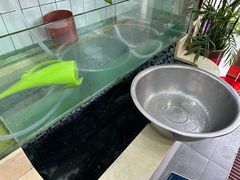 -老四川平头酸菜鱼(衙前店)