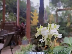 -谷咖啡·鲜花绿植花园餐厅