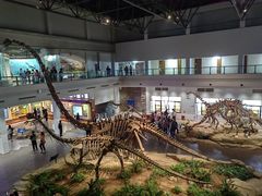 -自贡恐龙博物馆