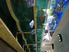 皇悦海鲜酒家-东江渔村(皇悦店)
