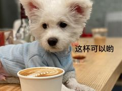 -Infica Coffee