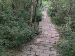 -元大都城垣遗址公园