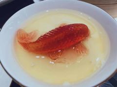 -甄御•海鲜新青岛菜(麦岛店)