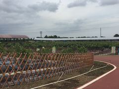 -迪茵湖田家舍生态农场
