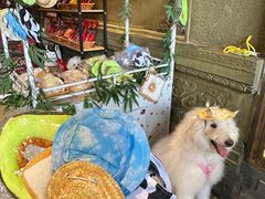 -蜀大侠火锅(春熙路店)