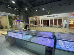 -简·爱眼镜(赛隆眼镜广场店)