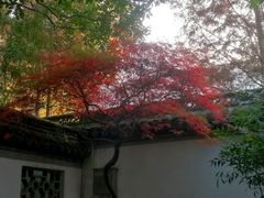 -嘉定博物馆