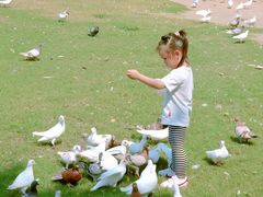 -南通洲际绿博园