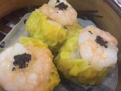 -糖朝(尖沙咀店)