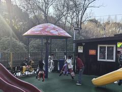 -桐乡植物园