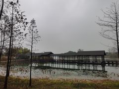 -渤公岛生态公园