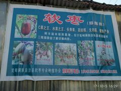 -灿哥羊汤(果园店)