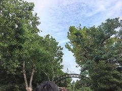 -青岛德国总督楼旧址博物馆