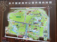 -东平国家森林公园